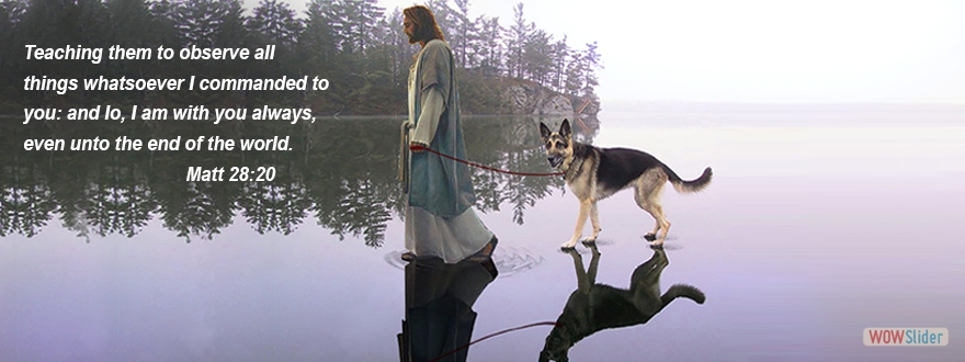 helping desperate orphans VIDEO SAD