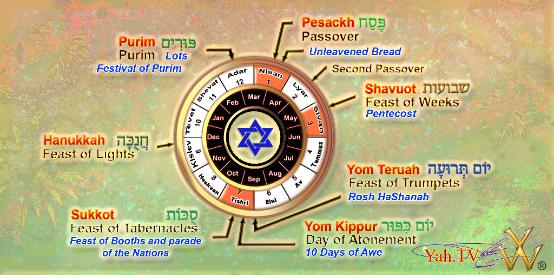 Borders and Backgrounds Around Image